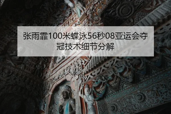 张雨霏100米蝶泳56秒08亚运会夺冠技术细节分解
