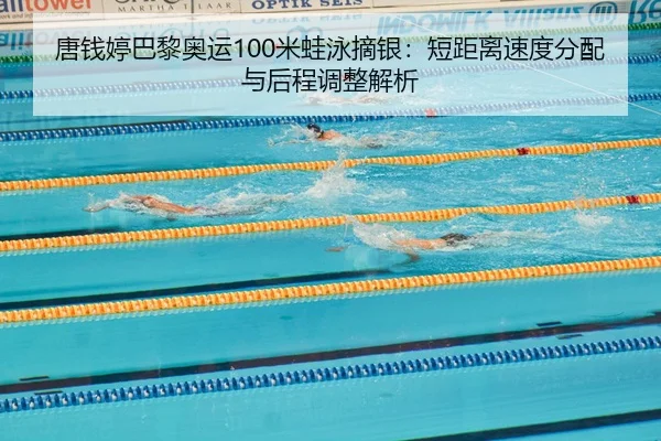 tang-qian-ting-ba-li-ao-yun-mi-wa-yong-zhai-yin-duan-ju-li-su-du-fen-pei-yu-hou-cheng-tiao-zheng-jie-xi-2-407.jpg